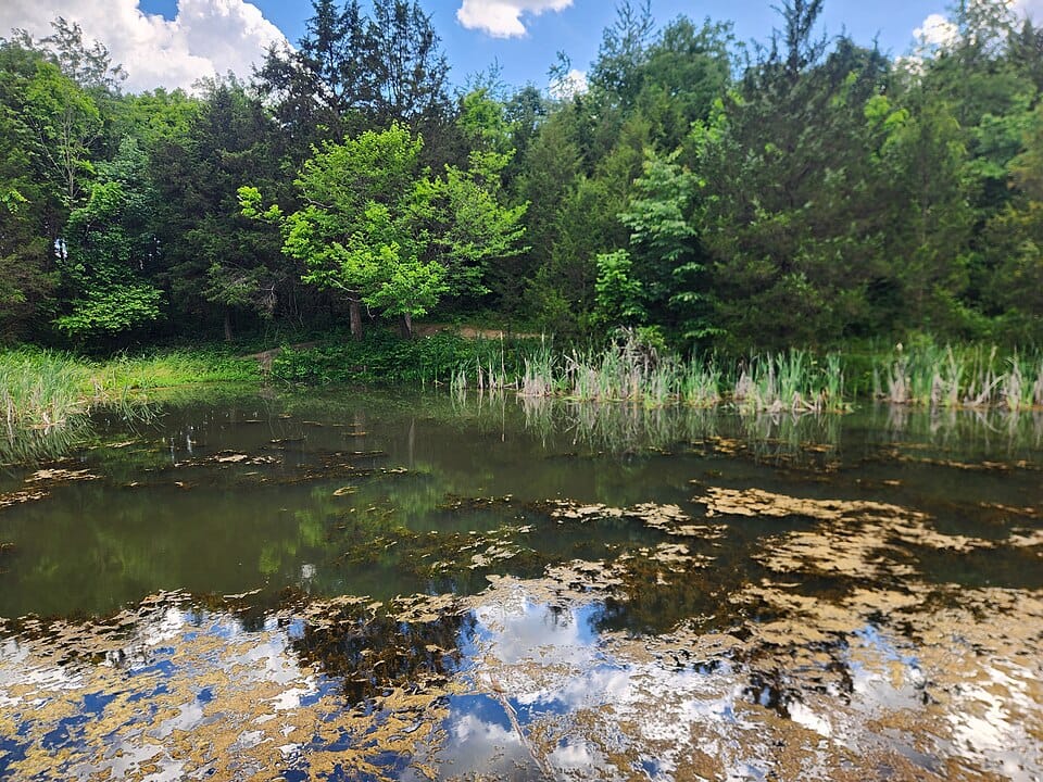 La Clara Lakes - Photo 1