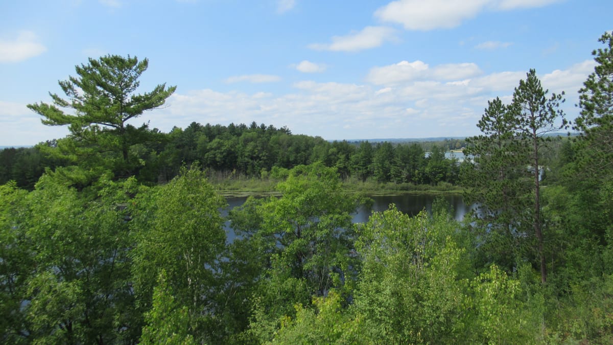 Rifle River Recreation Area - Photo 1