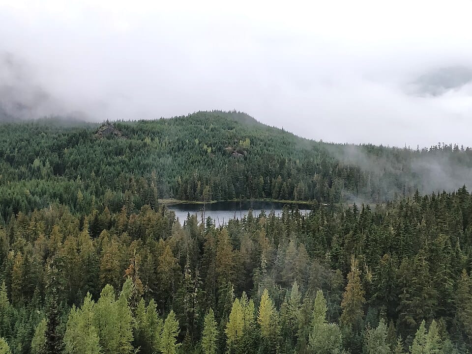 Cougar Lake - Photo 1