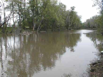 Iroquois River - Photo 1