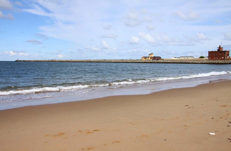 Herd Sand - Photo 1