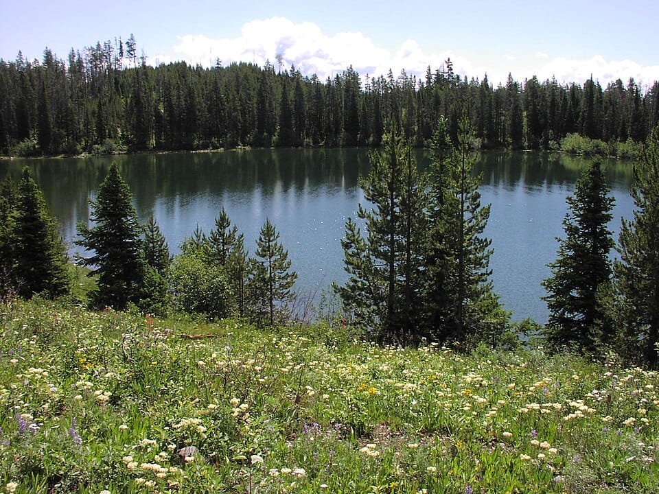 Mica Lake - Photo 1