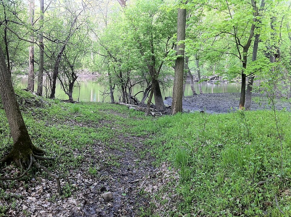 Des Plaines River View Point - Photo 1