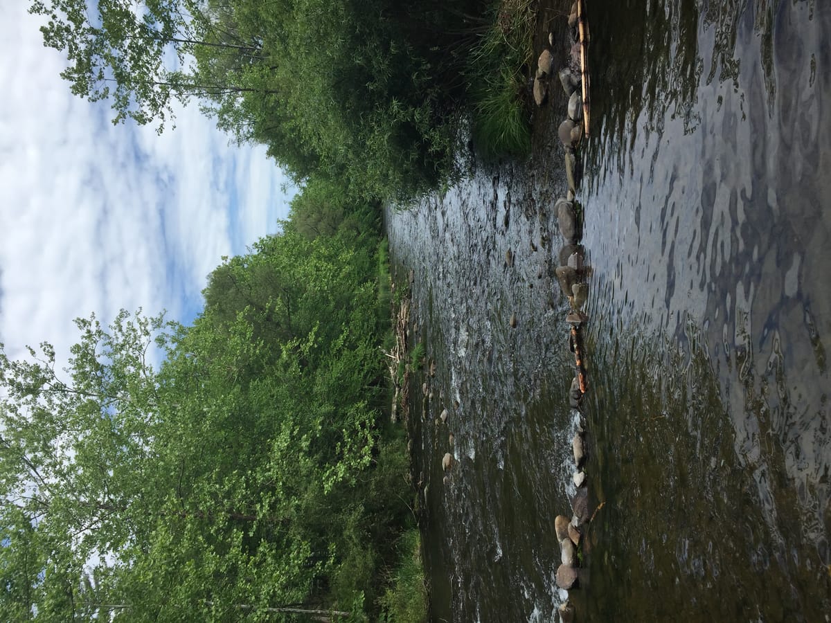Brodhead Creek - Photo 1