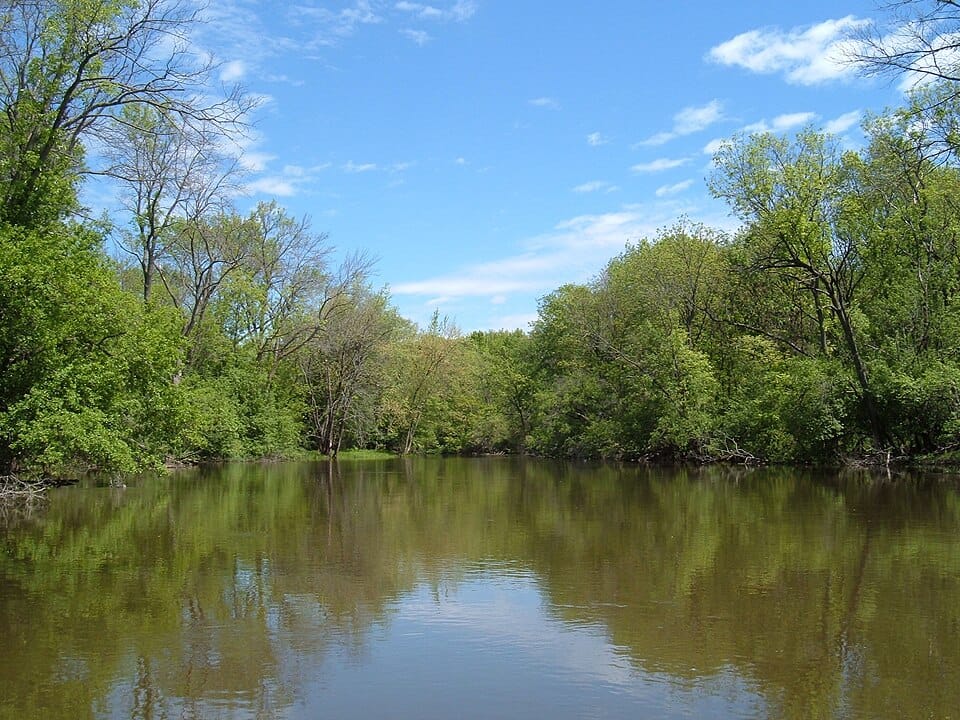 Des Plaines River - Photo 1