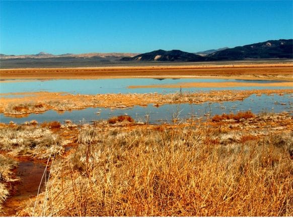 Harpers Lake - Photo 1