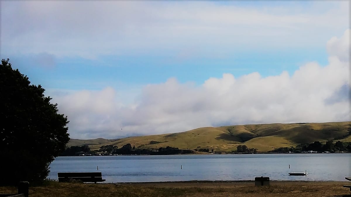 Tomales Bay State Park - Photo 1