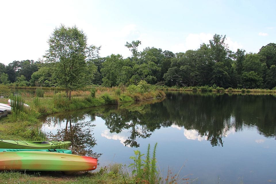 Pine Lake - Photo 1
