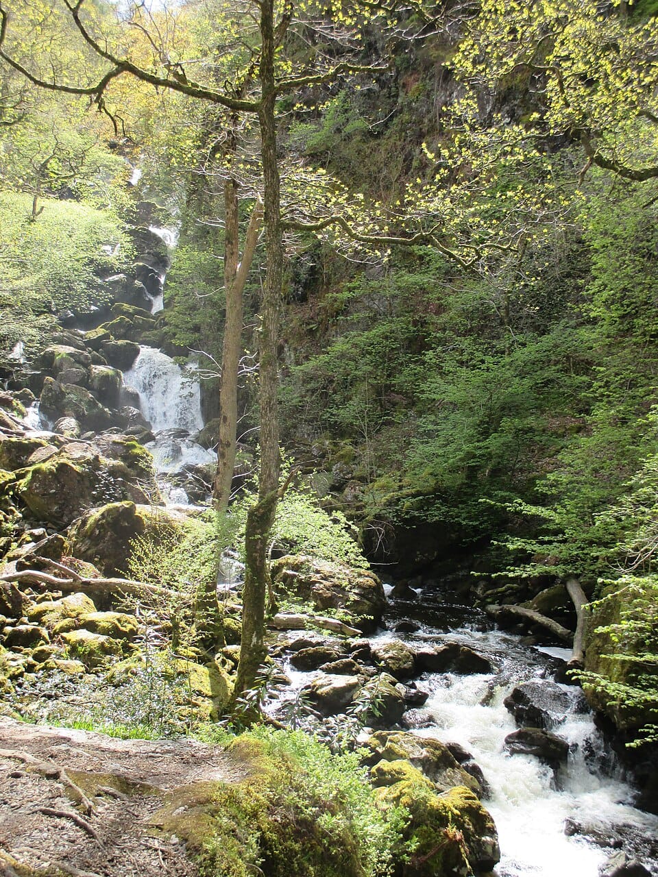 Lodore Falls - Photo 1