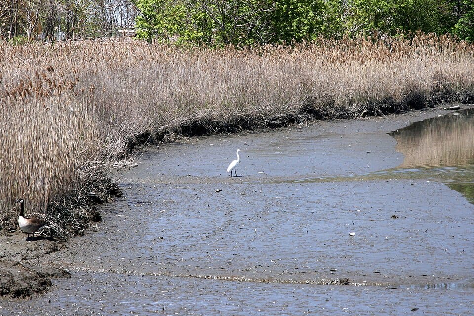 Oakland Lake - Photo 1