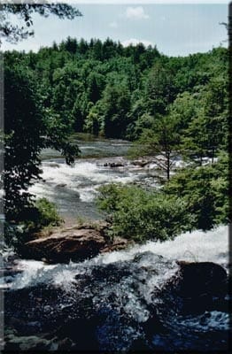 Chattooga River - Photo 1