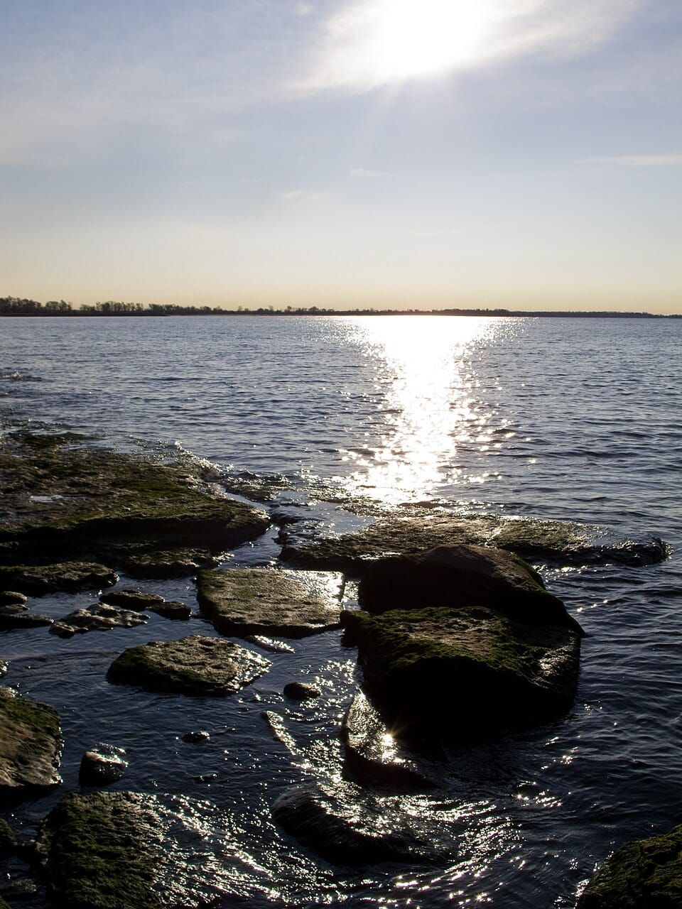 Wellington Lake - Photo 1