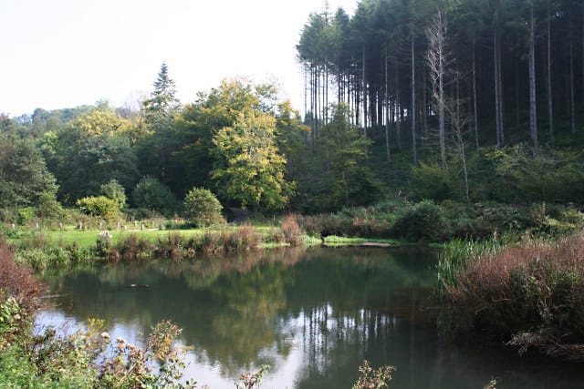 Lake Pomeroy - Photo 1