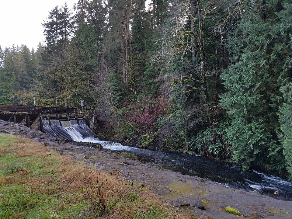 Sylvia Lake - Photo 1