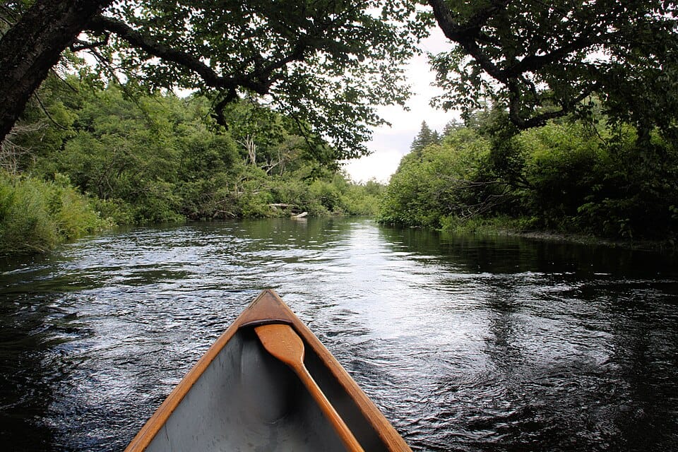 Jessup River - Photo 1