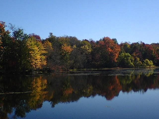Glenmere Lake - Photo 1