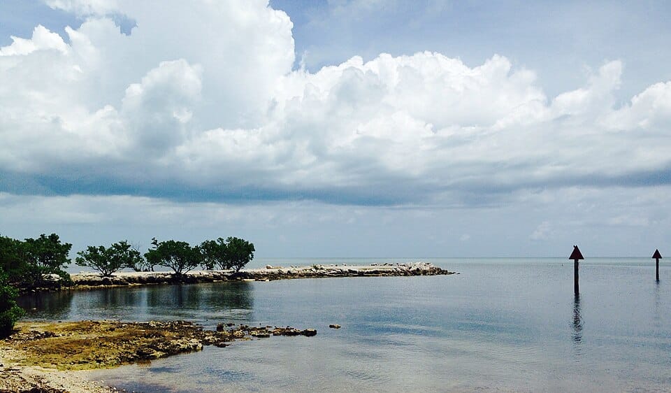 Harry Harris Beach and Park - Photo 1