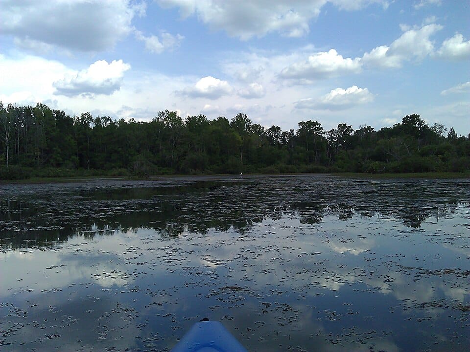 TWO ACRE LAKE - Photo 1