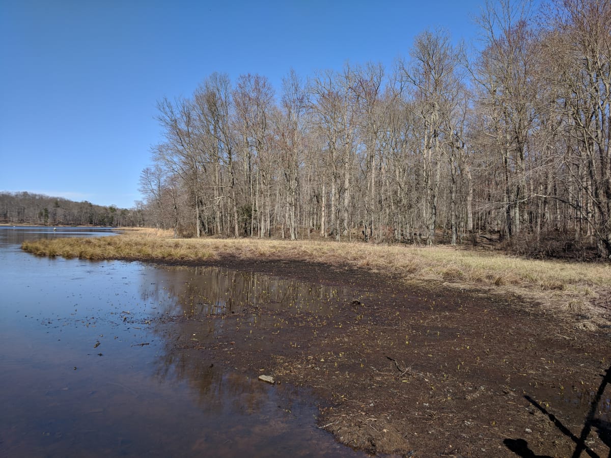 Cash Lake Fishing Area - Photo 1