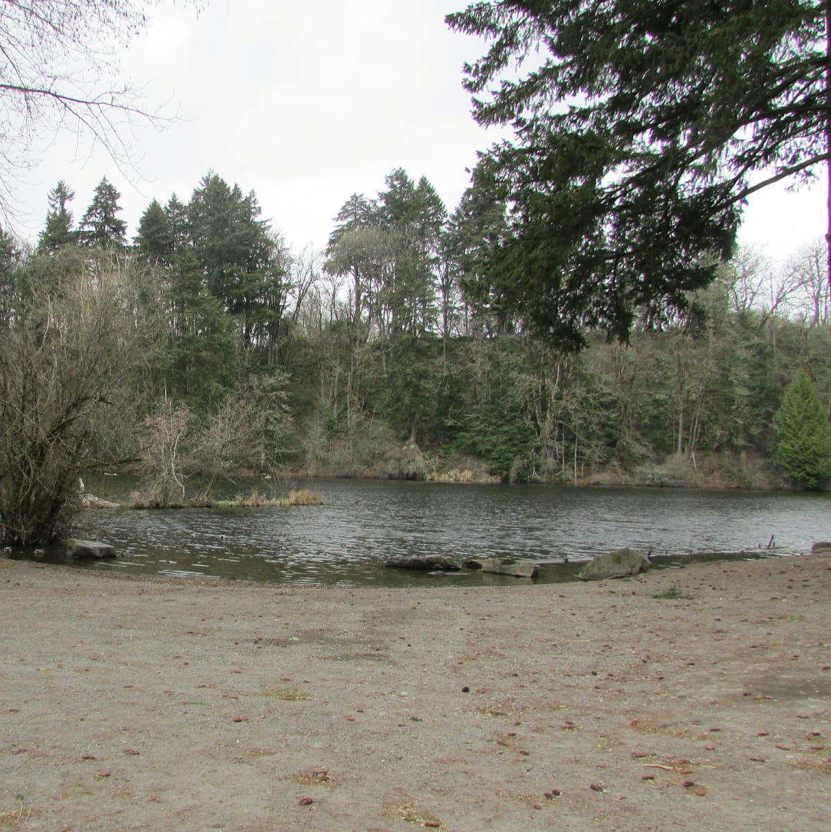 Lake Fenwick - Photo 1