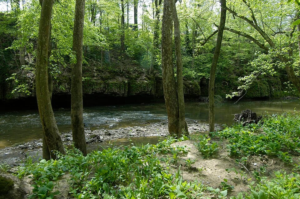 Muscatatuck River - Photo 1