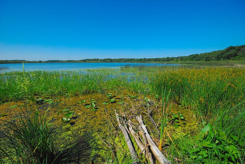 Pickerel Lake - Photo 1