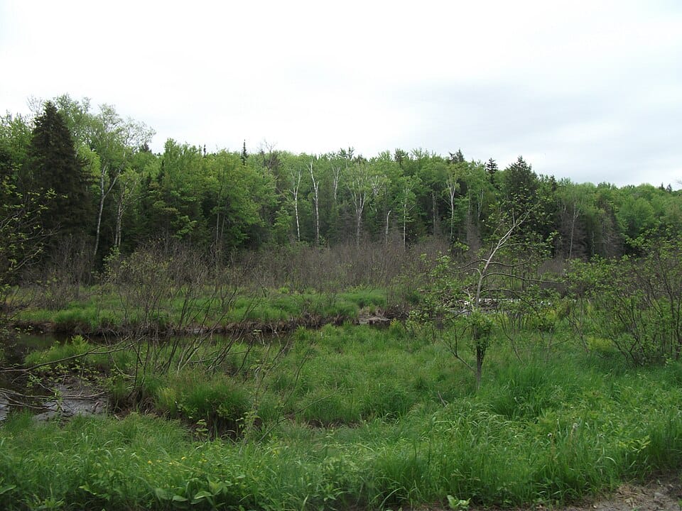 Thirteenth Lake - Photo 1