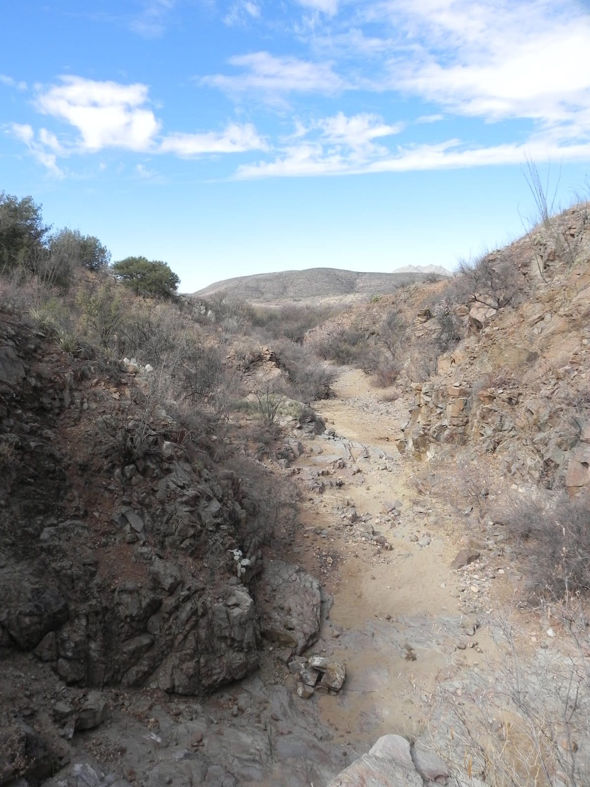 Sonoita Creek State Natural Area - Photo 1