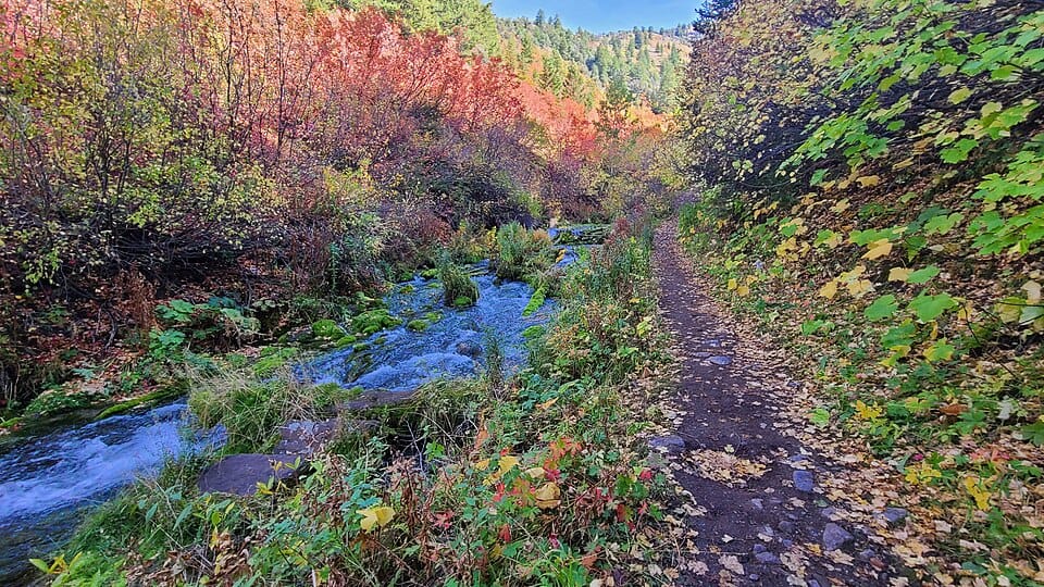 Bloomington Lake Trail Head - Photo 1