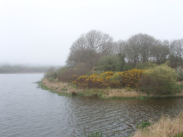 Lower Tamar Lake - Photo 1