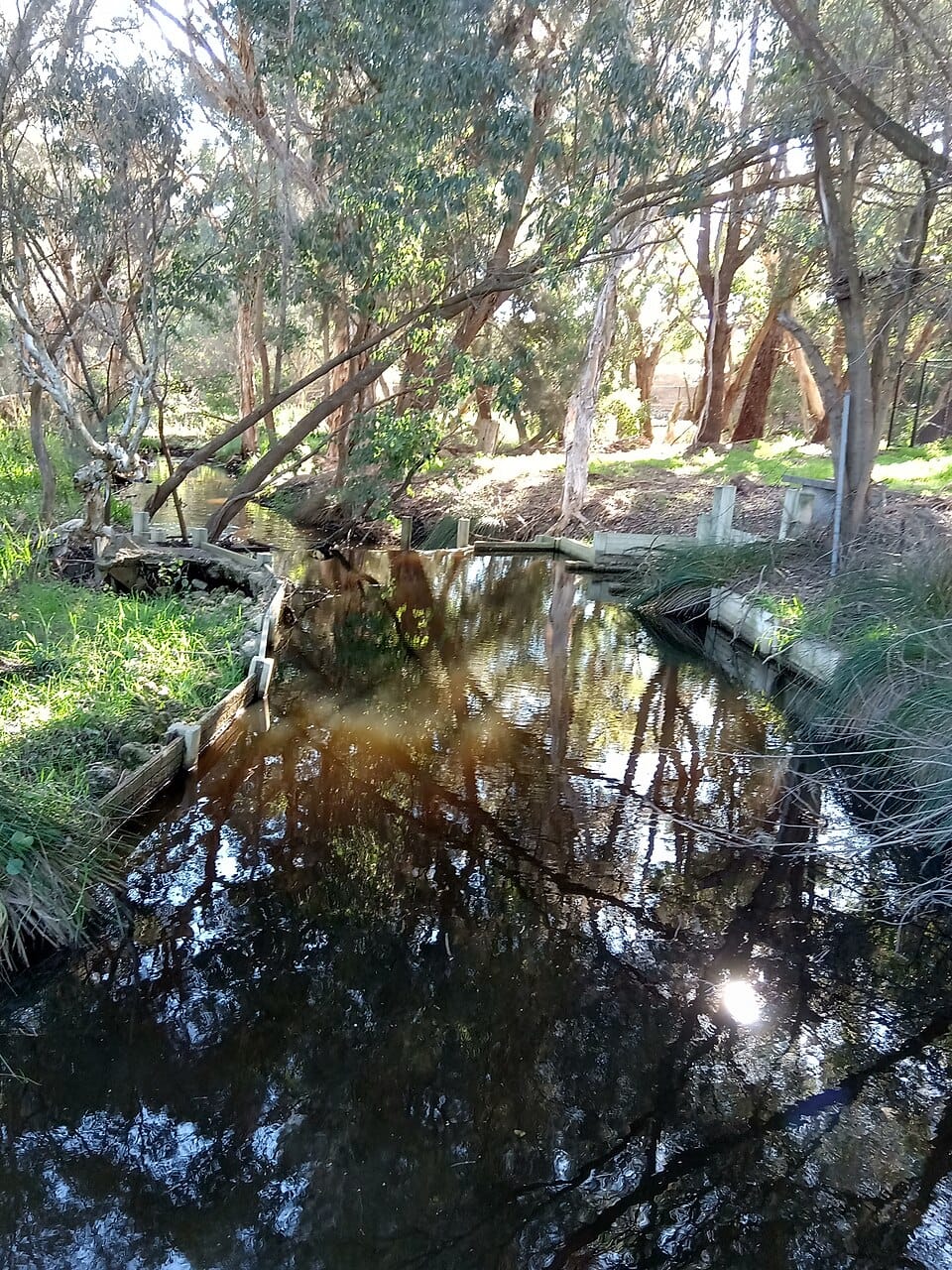 Bull Creek - Photo 1