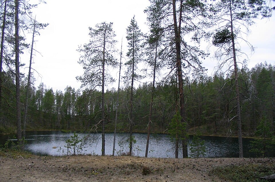 Kettle Pond - Photo 1