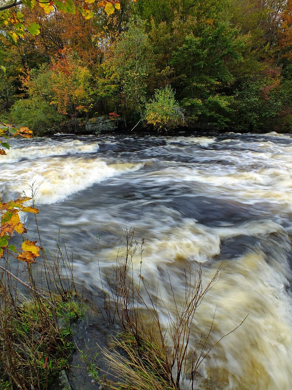 Tobyhanna Creek - Photo 1