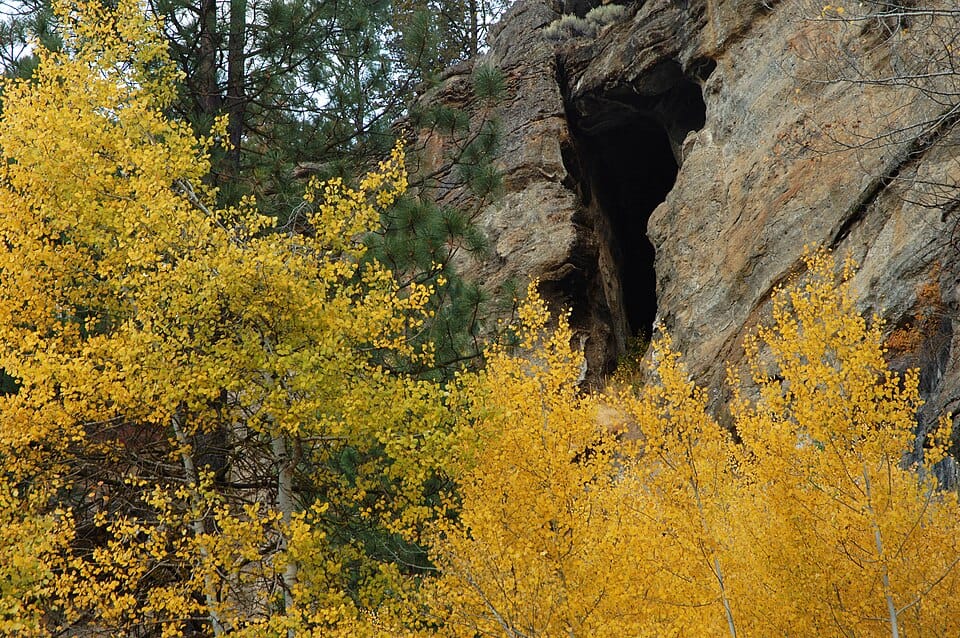 Sprague River - Photo 1