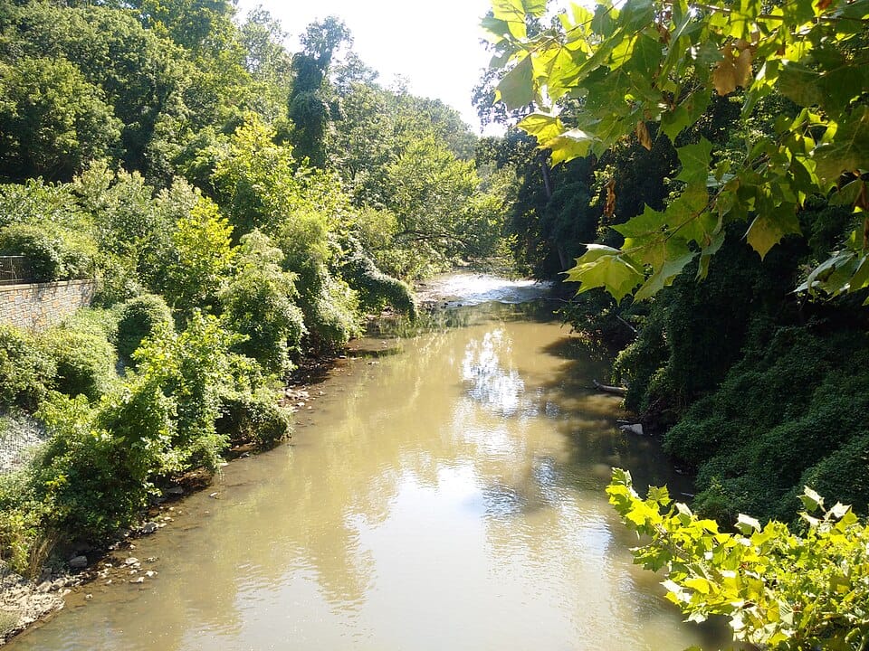 Lake Roland Park - Photo 1