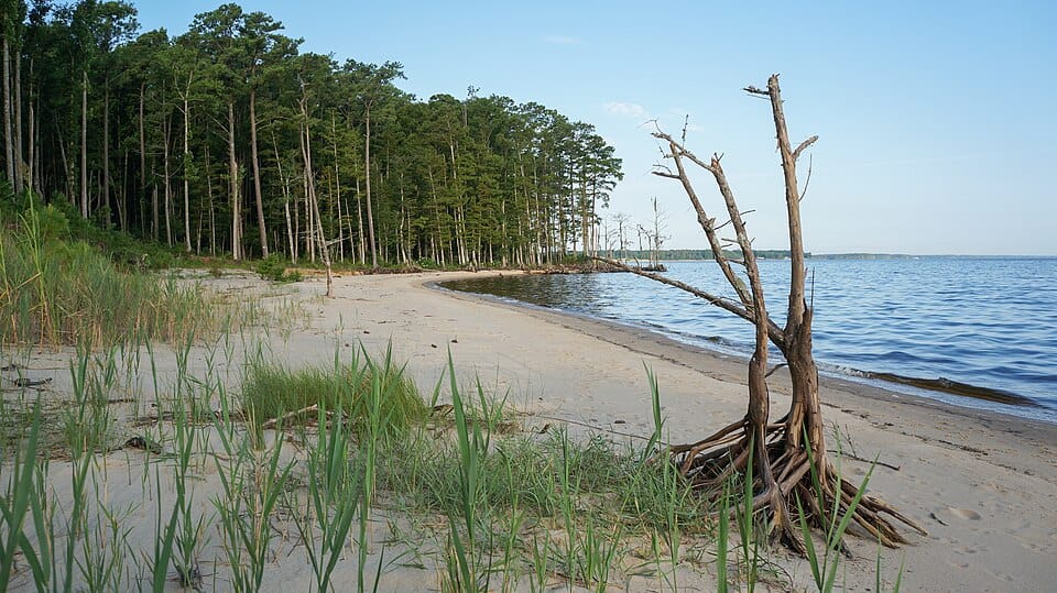Neuse River Trail - Photo 1