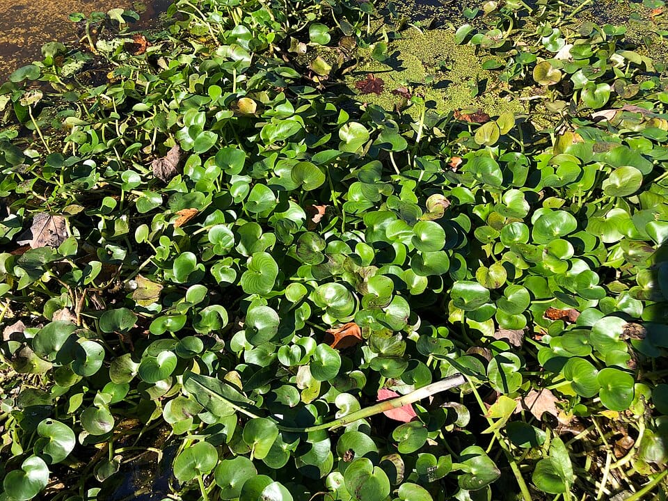 Etra Lake - Photo 1