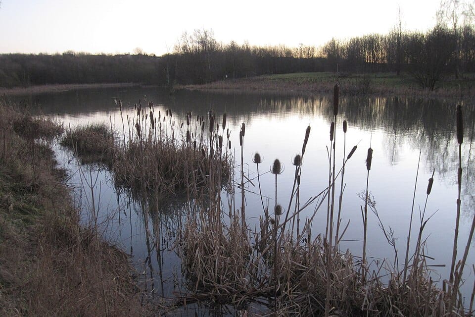 Oakthorpe Lake - Photo 1