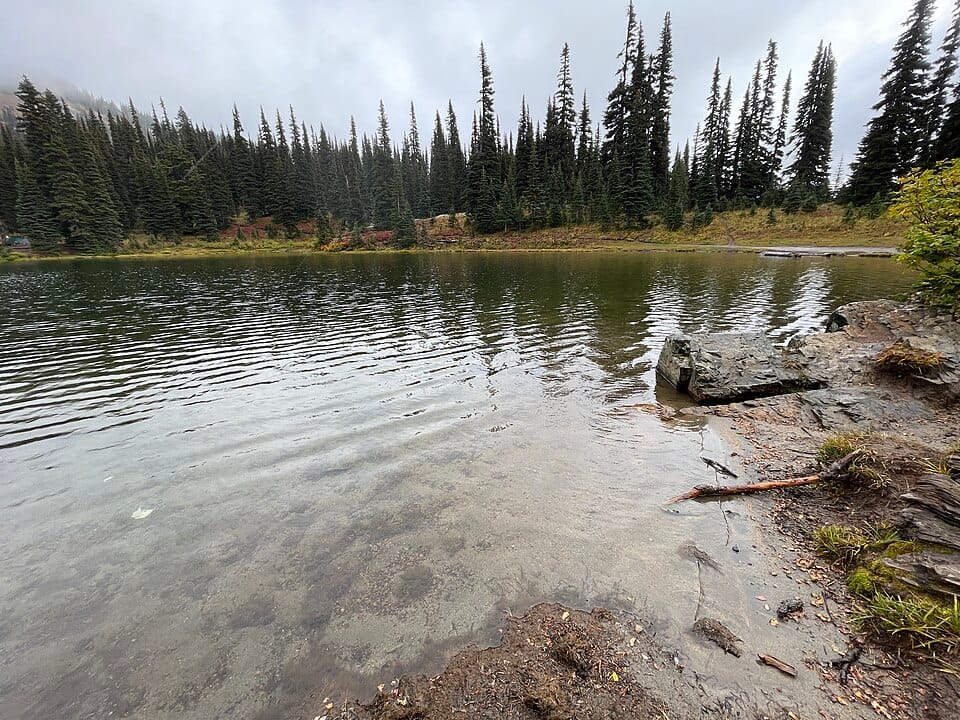 Rainier Fork American River - Photo 1