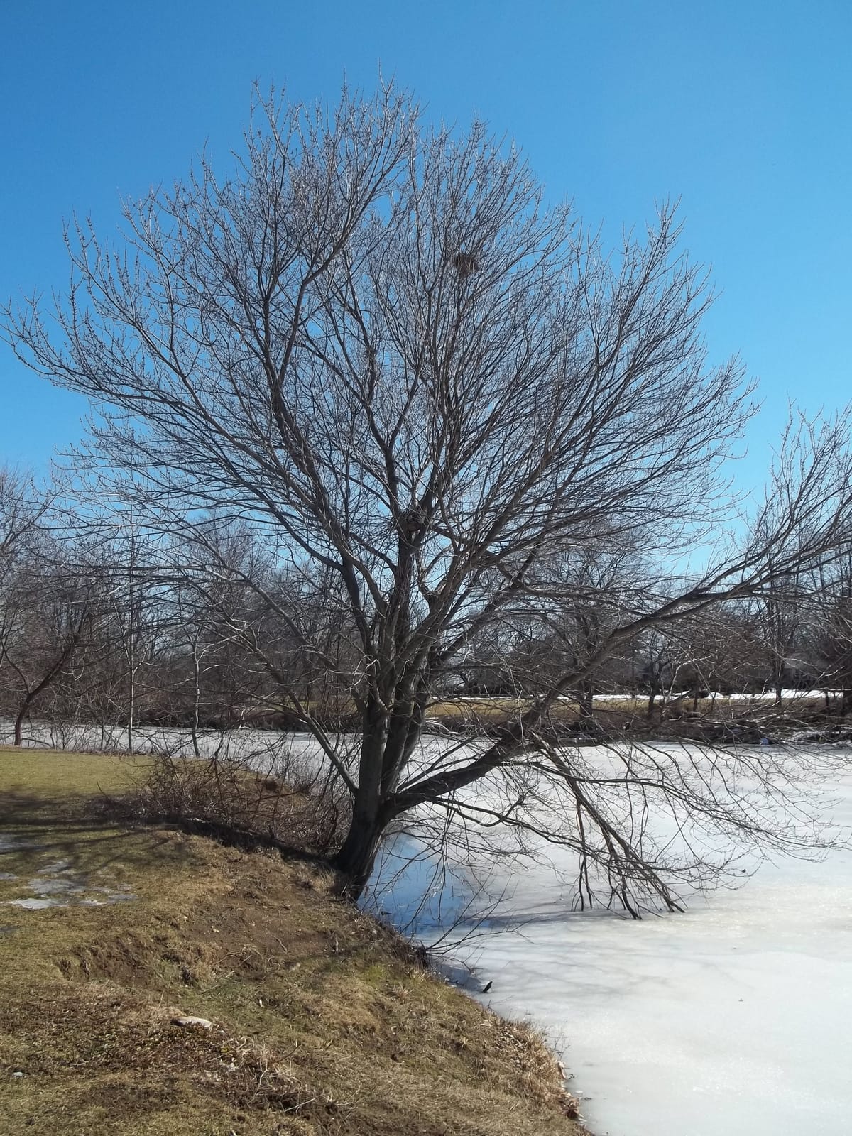 Strawbridge Lake Park - Photo 1