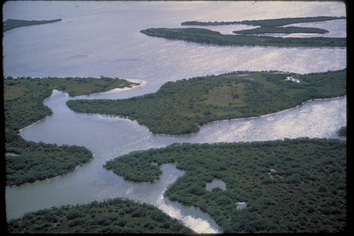 Canaveral National Seashore - Photo 1