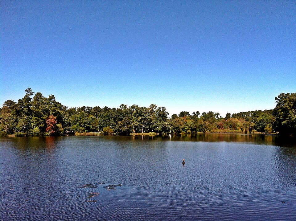 Bridges Lake - Photo 1