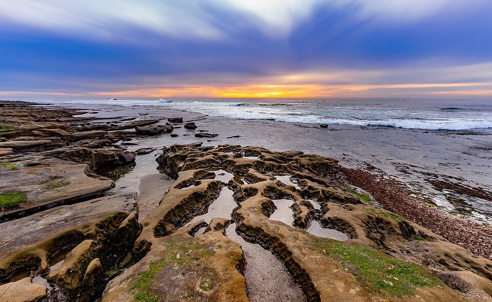 La Jolla Tide Pools - Photo 1