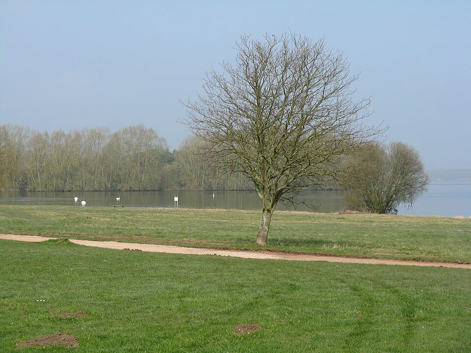 Gaynes Cove - Photo 1