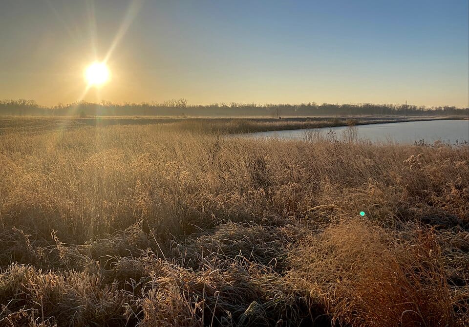 Covington Lake - Photo 1
