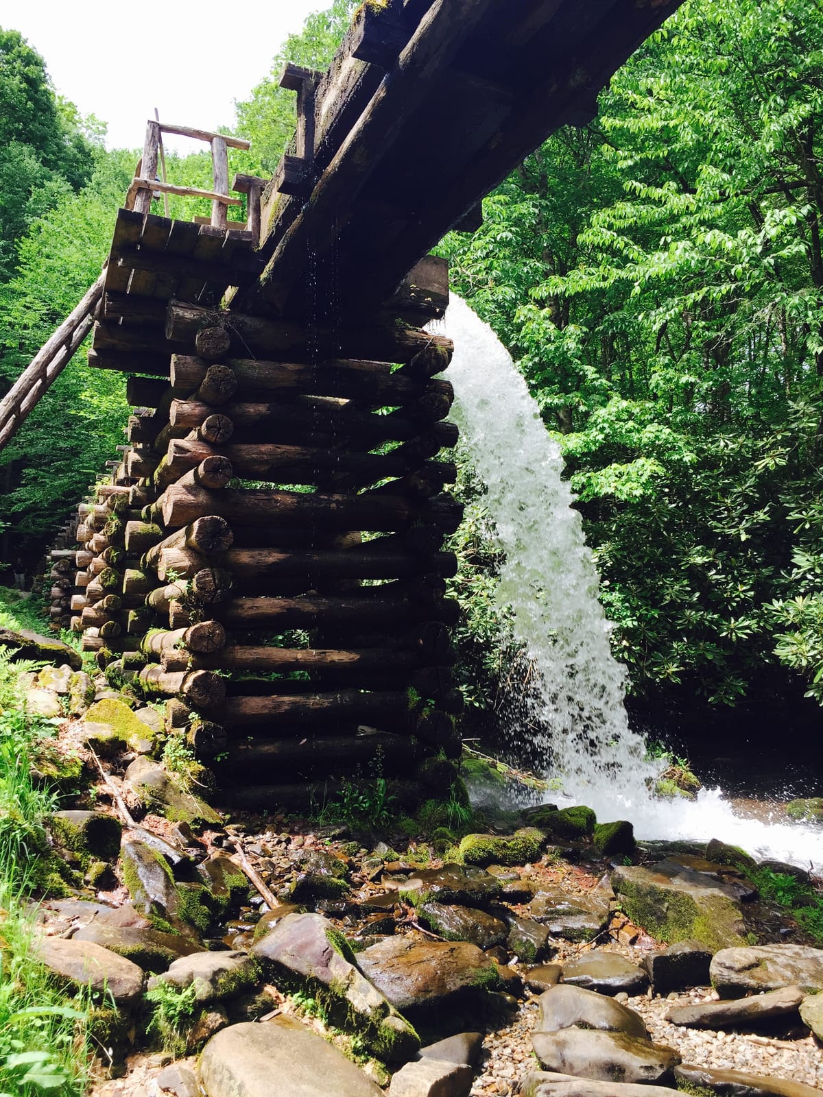 Oconaluftee River - Photo 1