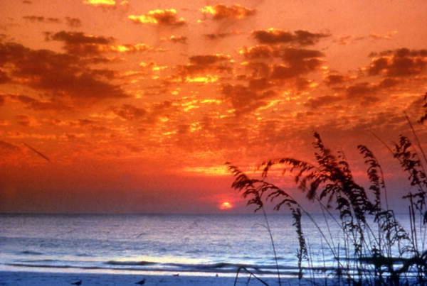 Cortez Beach, South Pier- - Photo 1