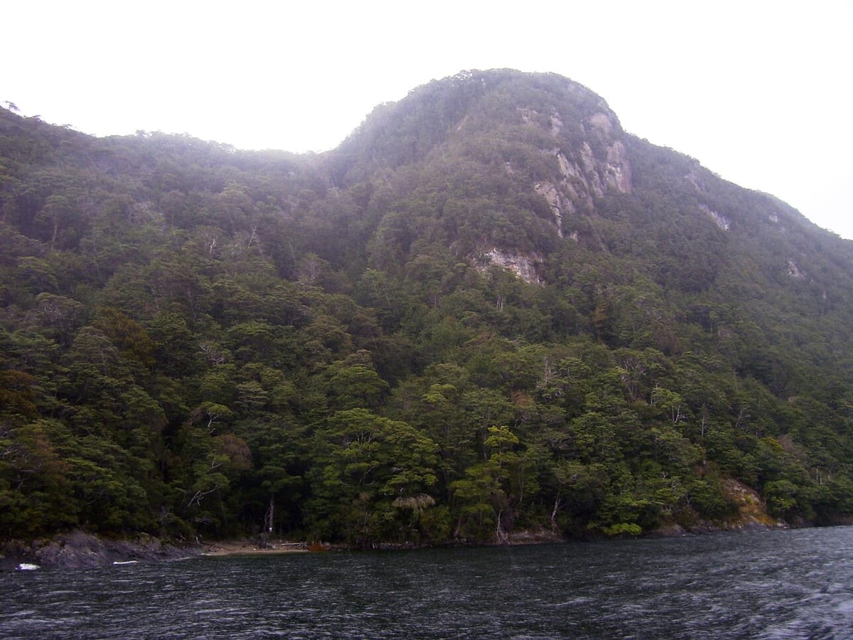 Pomona Lake - Photo 1
