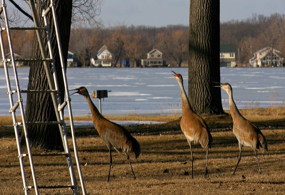 Sand Lake - Photo 1