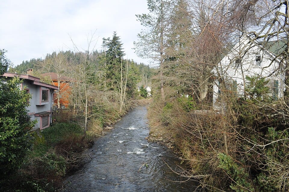 Wilkeson Creek - Photo 1